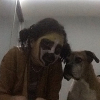 Boxer, Köpek  çakıl fotoğrafı