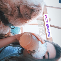 Golden Retriever, Köpek  Waffle fotoğrafı