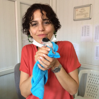 Tekir Kedi, Kedi  Şanslı fotoğrafı
