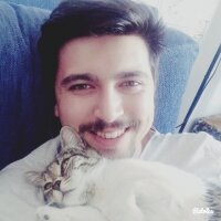 Tekir Kedi, Kedi  Mantar fotoğrafı