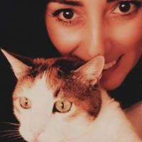 Soke, Kedi  Badem fotoğrafı