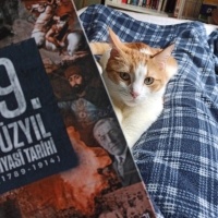 Sarman, Kedi  Eşref fotoğrafı