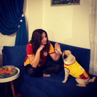 Pug, Köpek  Pars fotoğrafı