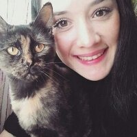 Tekir Kedi, Kedi  Mırmırr fotoğrafı