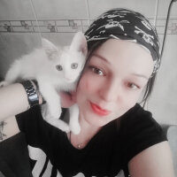 Tekir Kedi, Kedi  Pamuk çuk fotoğrafı