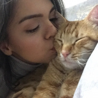 Sarman, Kedi  Bambi fotoğrafı