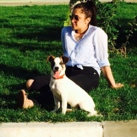 Jack Russell Terrier, Köpek  MAÇA fotoğrafı