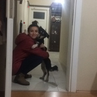 Pappilon, Köpek  ÇİRKİN fotoğrafı