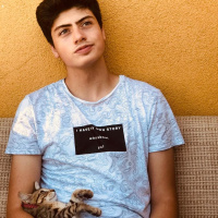 Tekir Kedi, Kedi  Siriyus fotoğrafı