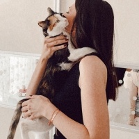 Tekir Kedi, Kedi  Âla fotoğrafı