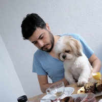 Shih Tzu, Köpek  Aşk fotoğrafı