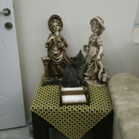 British Shorthair, Kedi  Tokyo fotoğrafı