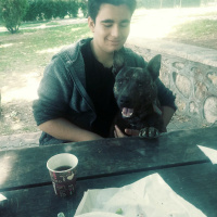 Belçika Malinois, Köpek  Börü fotoğrafı