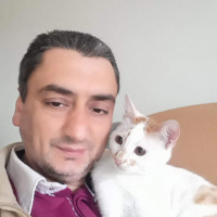 Sarman, Kedi  Paşa fotoğrafı