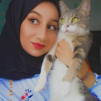 Tekir Kedi, Kedi  Ponpon fotoğrafı