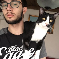 Tuxedo (Smokin) Kedi, Kedi  bıdık fotoğrafı