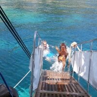 İrlandalı Setter, Köpek  Çamur fotoğrafı