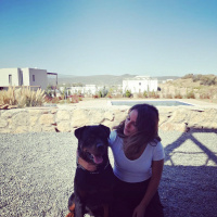 Rottweiler, Köpek  bady fotoğrafı