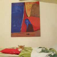 Sarman, Kedi  Teo fotoğrafı