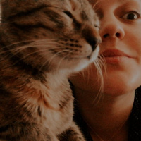 Tekir Kedi, Kedi  Umut fotoğrafı