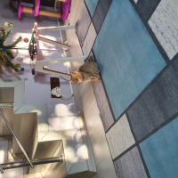 Tekir Kedi, Kedi  Cookie fotoğrafı