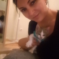 Tekir Kedi, Kedi  Gogo fotoğrafı