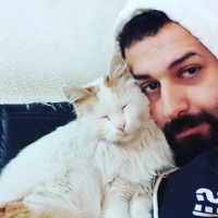 Tekir Kedi, Kedi  Darcia fotoğrafı