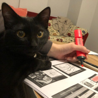 Tekir Kedi, Kedi  Tesla fotoğrafı