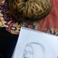 Tekir Kedi, Kedi  Minnak fotoğrafı