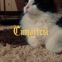 Tuxedo (Smokin) Kedi, Kedi  Mars fotoğrafı