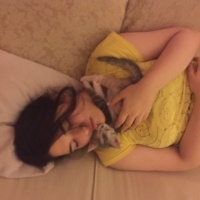 Tekir Kedi, Kedi  Peluş fotoğrafı