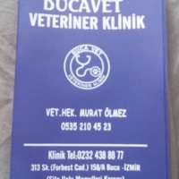 Tekir Kedi, Kedi  Oscar fotoğrafı