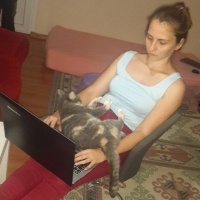 Tekir Kedi, Kedi  Minnak fotoğrafı