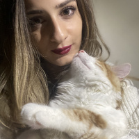 Tekir Kedi, Kedi  Mia fotoğrafı