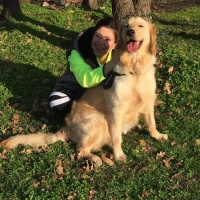 Golden Retriever, Köpek  Çakıl fotoğrafı