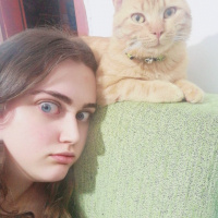 Sarman, Kedi  Garfield (Bebiş) fotoğrafı