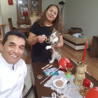Tekir Kedi, Kedi  Çakıl fotoğrafı