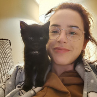 Bombay, Kedi  Detone fotoğrafı