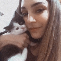 Tekir Kedi, Kedi  sufi fotoğrafı