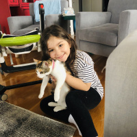 Tekir Kedi, Kedi  Boncuk fotoğrafı
