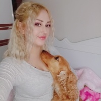 İngiliz Cocker Spaniel, Köpek  Cookie fotoğrafı
