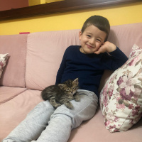Tekir Kedi, Kedi  Tarhana fotoğrafı