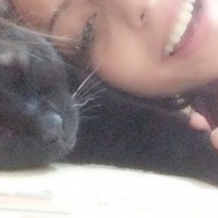 Tekir Kedi, Kedi  Zeytin fotoğrafı