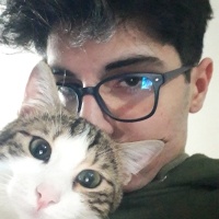 Van Kedisi, Kedi  bihter bebek fotoğrafı