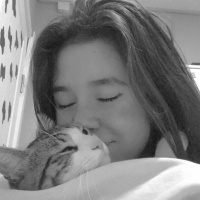Tekir Kedi, Kedi  Şanslı fotoğrafı
