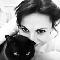 Siyam Kedisi, Kedi  Kumsal fotoğrafı