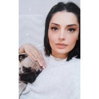 Pug, Köpek  Hera fotoğrafı