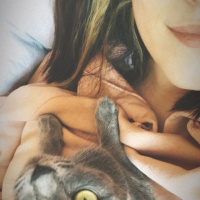 Tekir Kedi, Kedi  Mırmırsu fotoğrafı