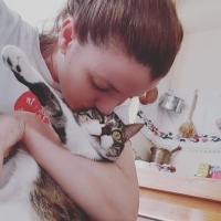 Tekir Kedi, Kedi  Luna fotoğrafı