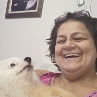 Chihuahua, Köpek  Kraker fotoğrafı